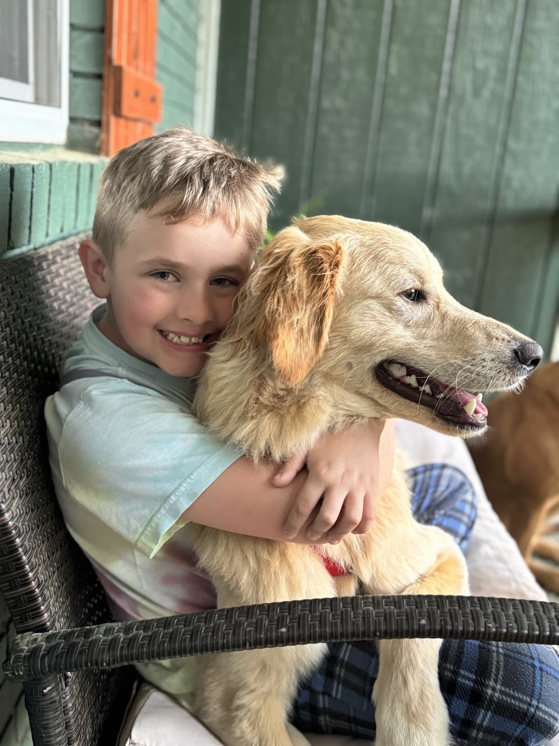 Introducing Felix the Service Dog